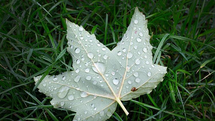 Derzeit ist das Wetter in Franken typische herbstlich, also nasskalt und windig. Foto: Martin Gerten/dpa