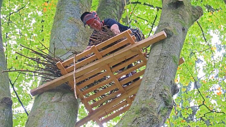 Foto: Hans-Peter Schönecker