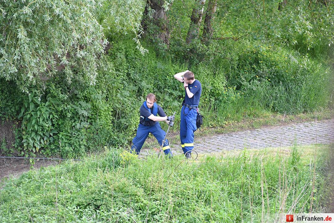 Fähre gelöst in Pettstadt