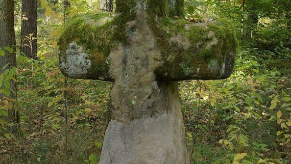 Der Fuhrmannsstein im Sebalder ReichswaldFoto: privat