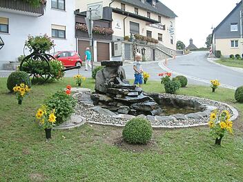 Die Nurner SV-Gymnastikdamen werden den Erlös des Brunnenfestes erneut für Maßnahmen zur Ortsverschönerung verwenden.  Foto: hf