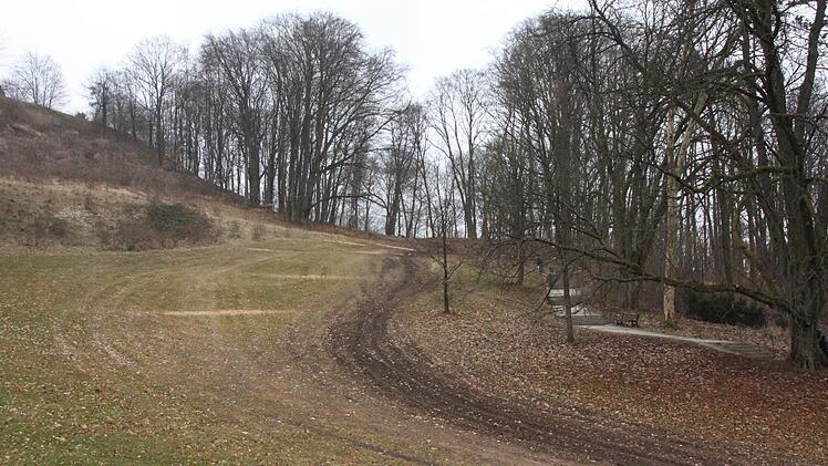 Die Wiese am oberen Veilchental erinnert an eine alpine Skipiste am Ende der Saison. Hier waren die Rückefahrzeuge unterwegs.