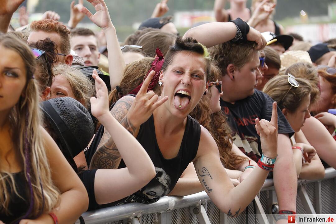 RIP15 - Rise Against