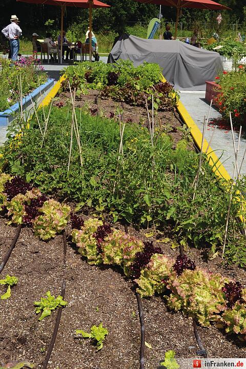 Landesgartenschau 2016 Bayreuth