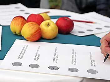 Bitte ankreuzen: Apfel-Geschmacksprobe auf der Streuobstwiese bei Lauf  Fotos: Johannes Michel