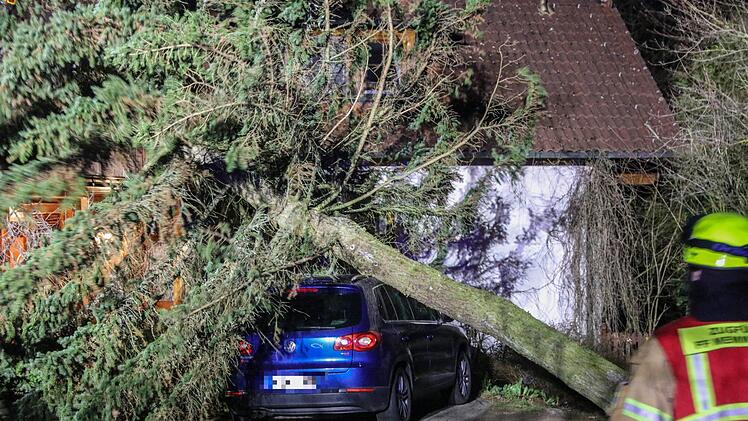Überall in Franken mussten die Feuerwehren umgestürzte Bäume wegräumen. Sturmtief Eberhard gönnte den Rettern keine Atempause, berichtet die Einsatzzentrale Oberfranken. Fotos: News5 /Merzbach