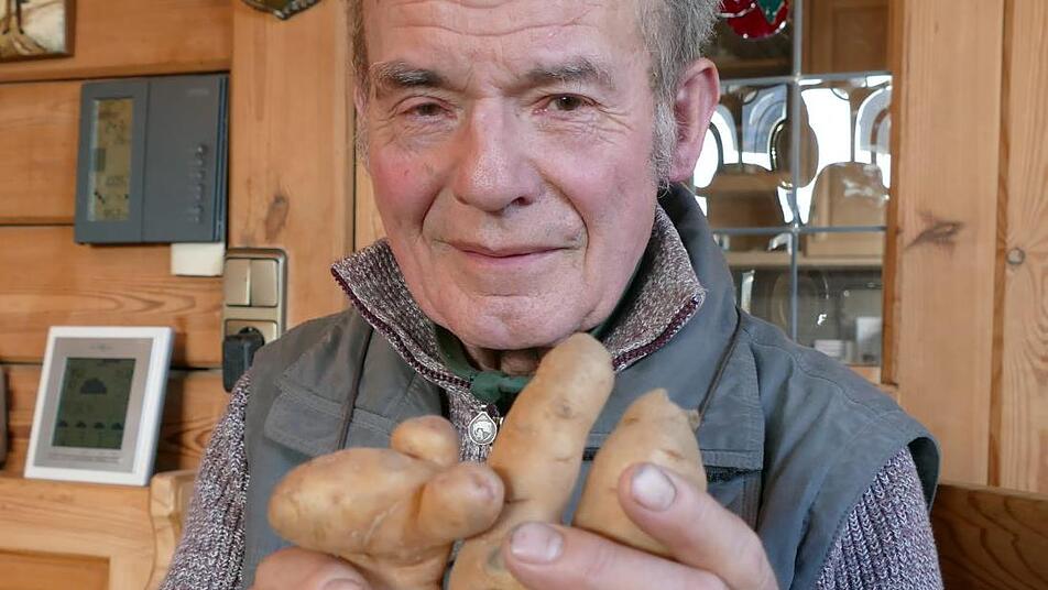 Adalbert Eichelsdörfer mit Bamberger Hörnchen. Er sieht den Unterschied zwischen altem und neuem Saatgut auf den ersten Blick. Foto: Marion Krüger-Hundrup Adalbert Eichelsdörfer mit Bamberger Hörnchen. Er sieht den Unterschied zwischen altem und neuem Saatgut auf den ersten Blick. Foto: Marion Krüger-Hundrup