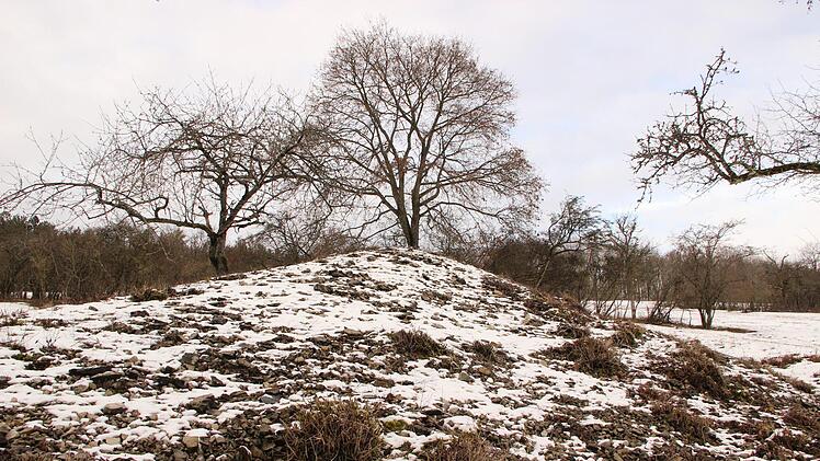 Leseriegel  bei Münnerstadt.Heike Beudert