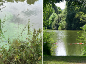 Badeverbot wegen Blaualgen: Landratsamt sperrt zwei weitere Seen Badeverbot wegen Blaualgen: Landratsamt sperrt zwei weitere Seen
