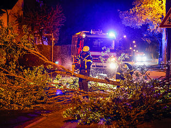 Umstürzende Bäume verursachen zwei Unfälle im Kreis Erlangen-Höchstadt