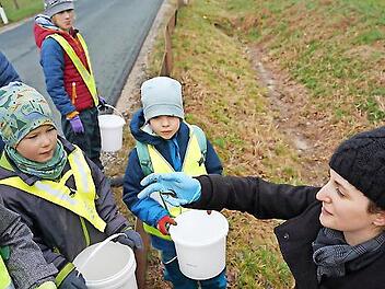 Unter Anleitung von stellvertretender BN-Kreisvorsitzenden Claudia Drenda (rechts) und Begleitung der Betreuerinnen des Obst- und Gartenbauvereins wurden die Fangeimer des Zauns gr&uuml;ndlich &uuml;berpr&uuml;ft.
