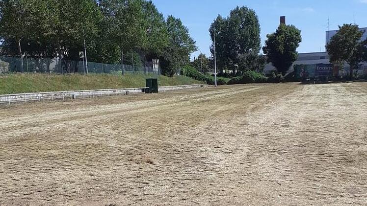 Der inzwischen gemähte Platz des FC Wacker, der noch aussieht wie eine Trabrennbahn.  Im September wird der Rasen angesät. FC Wacker