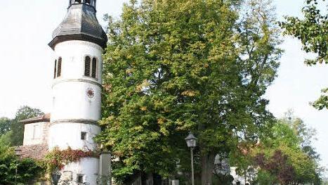 Das Gutachten darüber, welche Maßnahmen für die zwei Linden erforderlich sind, muss zunächst noch abgewartet werden.  Foto: Evi Seeger