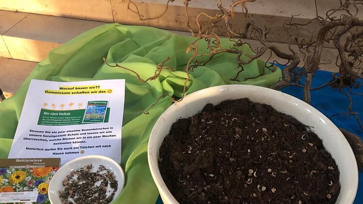 Die Samenschale in Schondra. Foto: Claudia Annon