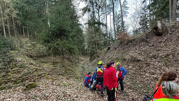 Wanderer von Hund in tiefe gerissen
