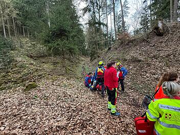 Wanderer von Hund in tiefe gerissen
