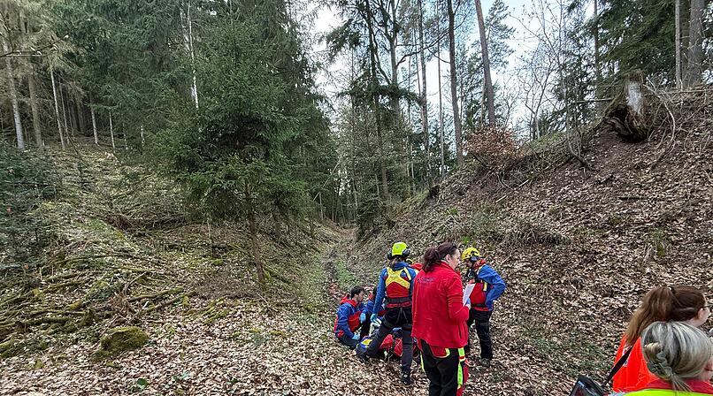 Wanderer von Hund in tiefe gerissen