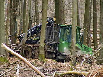 Schweres Gerät kommt heutzutage bei der Holzernte zum Einsatz. Für die Gemeinde Wartmannsroth werden die Einkünfte aus dem Verkauf des Holzes künftig geringer ausfallen, weil eine sechs Hektar große Fläche für das Biosphärenreservat zur Verfügung gestellt wird. Foto: Gerd Schaar