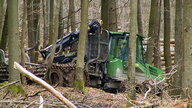 Schweres Gerät kommt heutzutage bei der Holzernte zum Einsatz. Für die Gemeinde Wartmannsroth werden die Einkünfte aus dem Verkauf des Holzes künftig geringer ausfallen, weil eine sechs Hektar große Fläche für das Biosphärenreservat zur Verfügung gestellt wird. Foto: Gerd Schaar