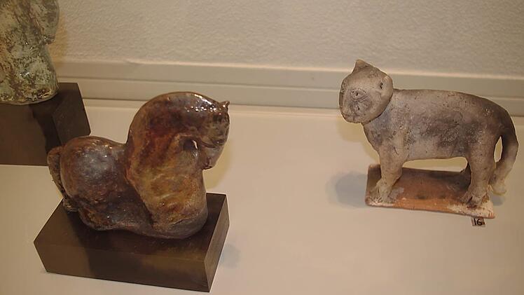 Exponate aus der Ausstellung "Inspirationen aus der Natur". Foto: Heike Schülein