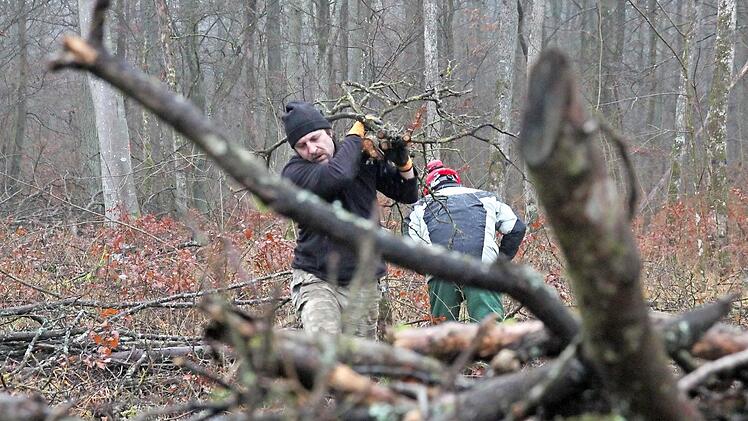 An zwei Tagen in der Woche sind die Teilnehmer des Integrationsprogramms der Kidro im Wald, spalten das Holz, arbeiten es auf, bauen Reisighaufen für die Tiere zum Unterschlupf. Im Herbst 2016 wird es dann erstmals das heuer geschlagene Brennholz zu kaufen geben.  Foto: Anja Greiner
