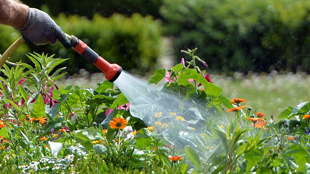 Clevere Gartenbew&auml;sserung