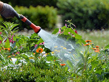 Clevere Gartenbew&auml;sserung