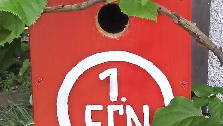 Wer hat sich denn in den FCN-Kasten eingenistet? Foto: Cornelia Schirmer