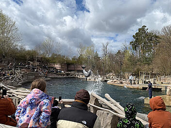 Die Delfinlagune im Tiergarten N&uuml;rnberg hat nach erfolgreicher