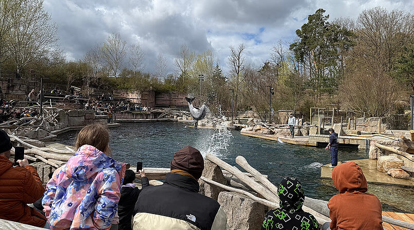 Die Delfinlagune im Tiergarten N&uuml;rnberg hat nach erfolgreicher