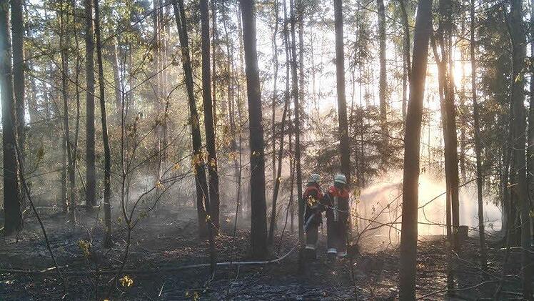 Foto: Stefan Brunner