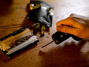 Cannabis
