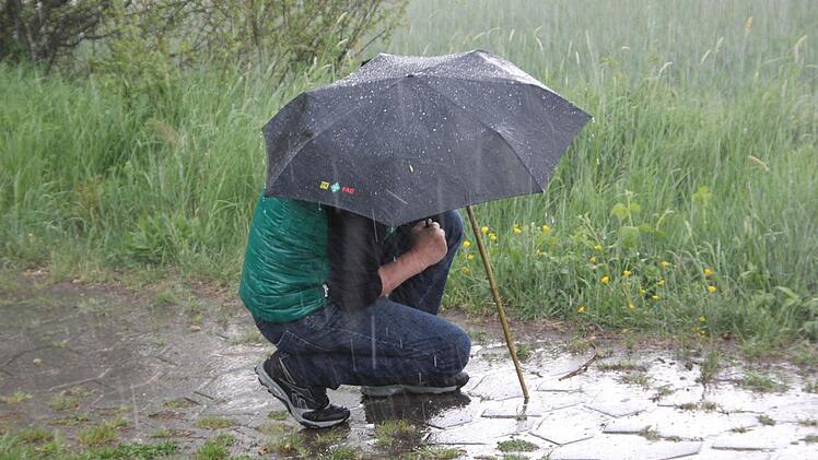 Als der große Regen einsetzte...