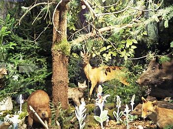 Vielschichtige Lebensbilder werden gezeigt. Foto: PR