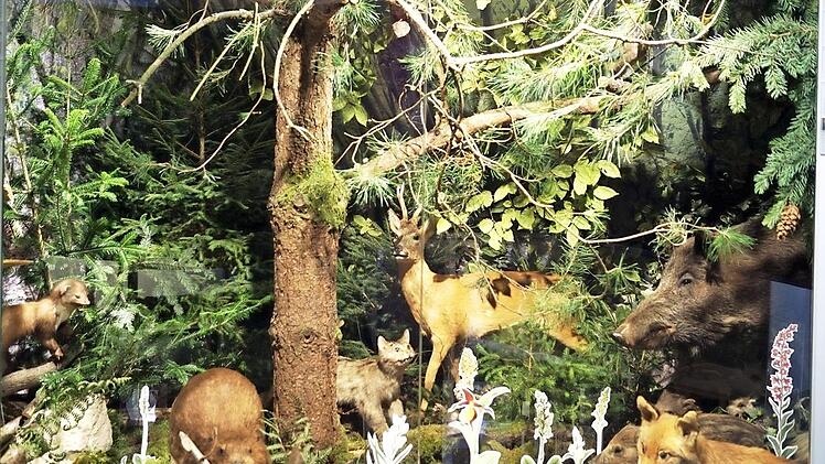 Vielschichtige Lebensbilder werden gezeigt. Foto: PR