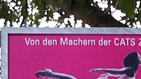 Wilde Plakataktionen möchte die Stadt Stadtsteinach vermeiden und hat deshalb strenge Regelungen für überregionale Plakatkleber beschlossen. Die einheimischen Vereine sind allerdings davon ausgenommen. Foto: privat