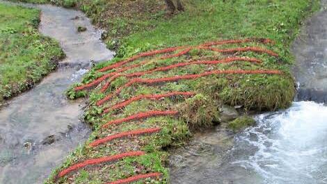 Belegte Landzunge: Hier haben die unbekannten Künstler schwarze Erde und scharlachrote Vogelbeeren als Streifen ausgelegt.