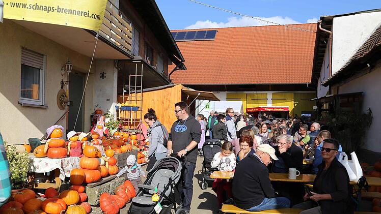 Bei der Edelbrennerei Heilmann in Gosberg gab es auch Kürbisse. v