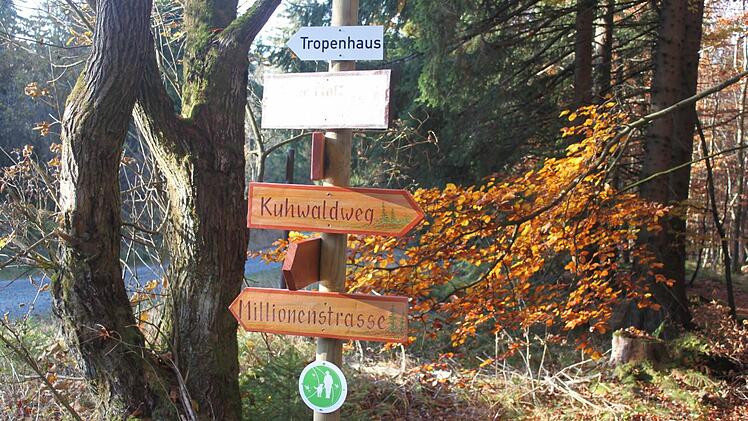 Impression von der Eröffnung des Wald- und Naturerlebnispfads. Foto: Veronika Schadeck