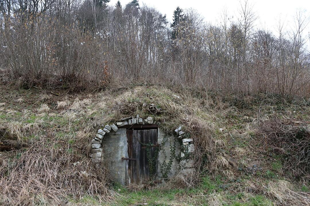 SoS; Neuses-Poxstall; Gemeindeseite; Foto: Barbara Herbst