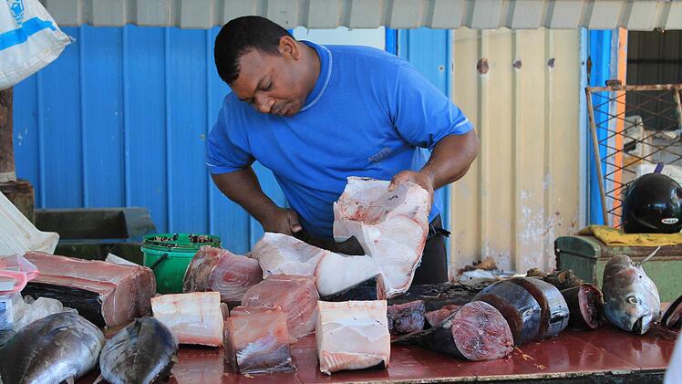 Auf Sri Lanka gibt es viel frischen Fisch. Foto: privat