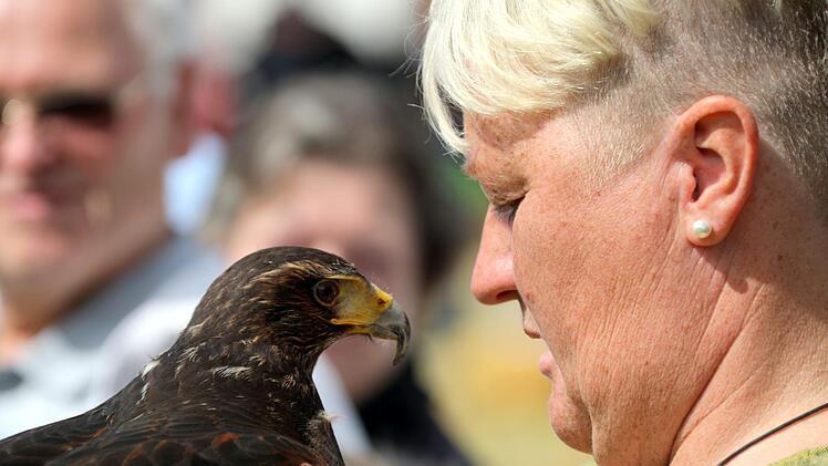 Falke und Falknerin Foto: Bettina Knauth