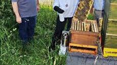 Am Bienenstand des Imkervereins Kronach zeigt die staatliche Fachberaterin Barbara Bartsch die richtige Vorgehensweise bei der Milchsäurebehandlung. Foto: eh