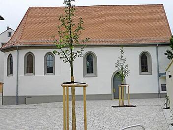 Die neu gepflanzten Bäume spielen auf den Namen St. Johannis Unter den Linden an. Foto: Stadt Bamberg