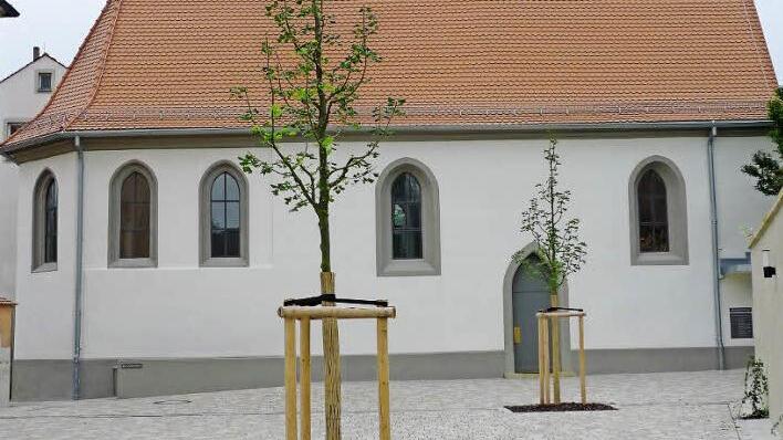 Die neu gepflanzten Bäume spielen auf den Namen St. Johannis Unter den Linden an. Foto: Stadt Bamberg