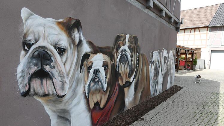 Der Hundehof in WattendorfFoto: Barbara Herbst