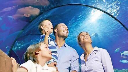 Im Sea Life in Hannover-Herrenhausen führt ein gläserner Tunnel durchs Aquarium.