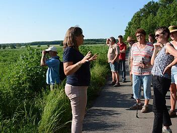 Kornelia Marzini (von links) von der LWG und Karl Schwarz vom BN an den Blühflächen in Großwenkheim. Foto: Elisabeth Assmann