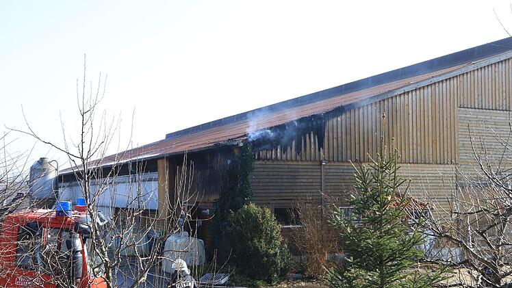 Foto: News5/Merzbach