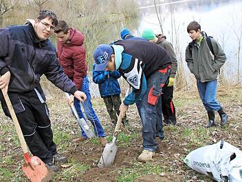Die Jungangler beim Pflanzen der Ahorn-Bäumchen am Ufer des Riedsees unter Leitung von Steffen Lieb und Christian Schulz Foto: Matthias Einwag